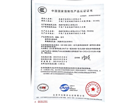 南雄betvlctor伟德手机版CCC证书